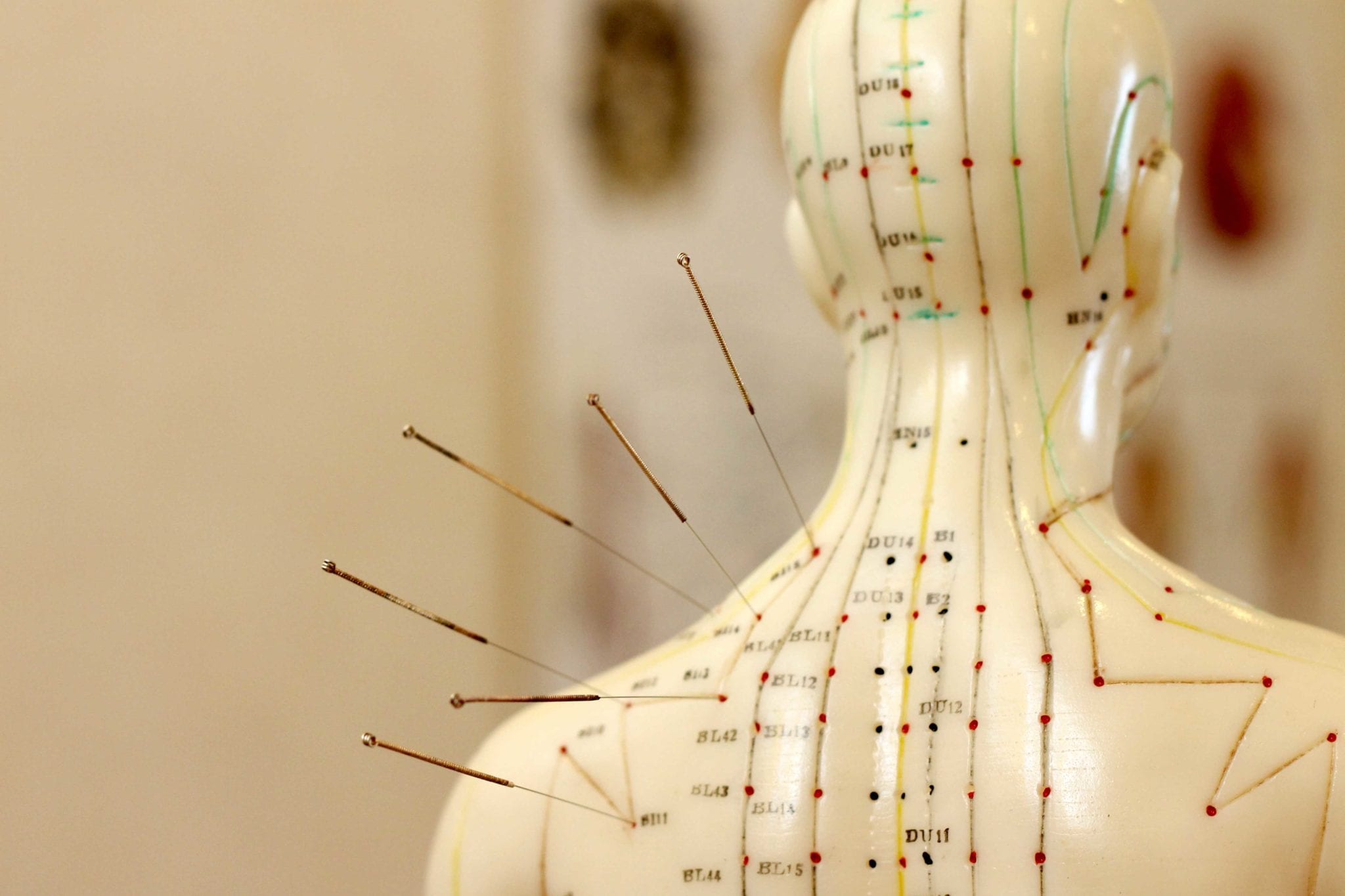 Pressure Points For Acupuncture Chart