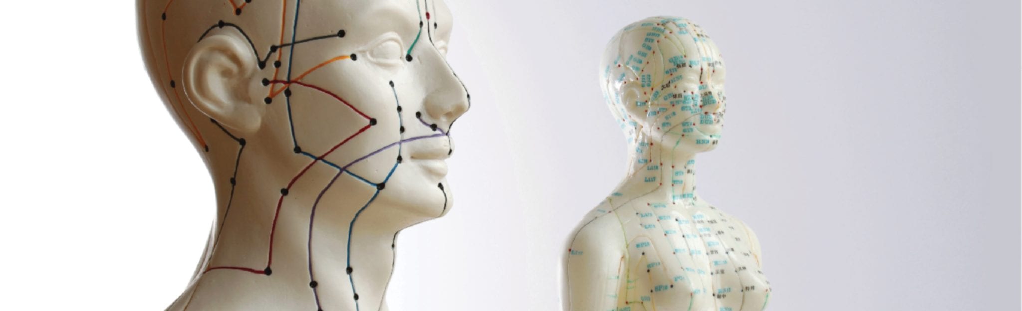 Acupuncture Masters Degree Won Institute