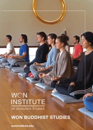 a group of people are sitting on cushions in a row meditating .
