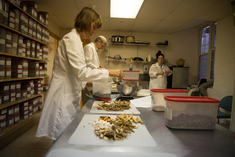 Students in Chinese herbal dispensary